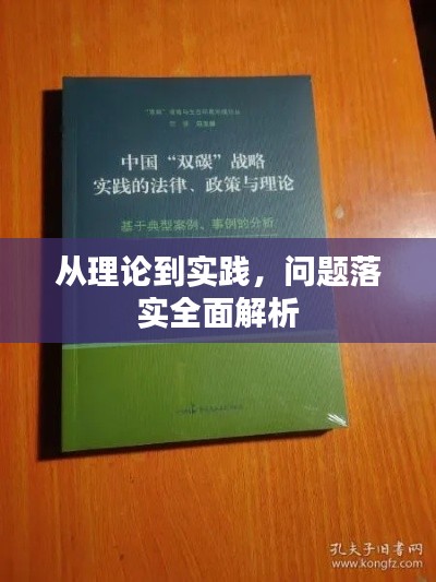 从理论到实践，问题落实全面解析