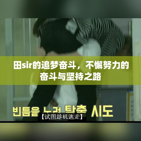田sir的追梦奋斗，不懈努力的奋斗与坚持之路