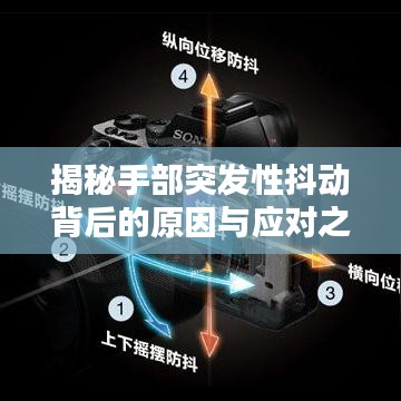 鸟骇鼠窜