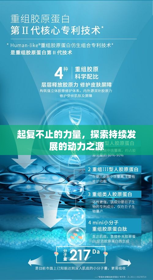 起复不止的力量，探索持续发展的动力之源