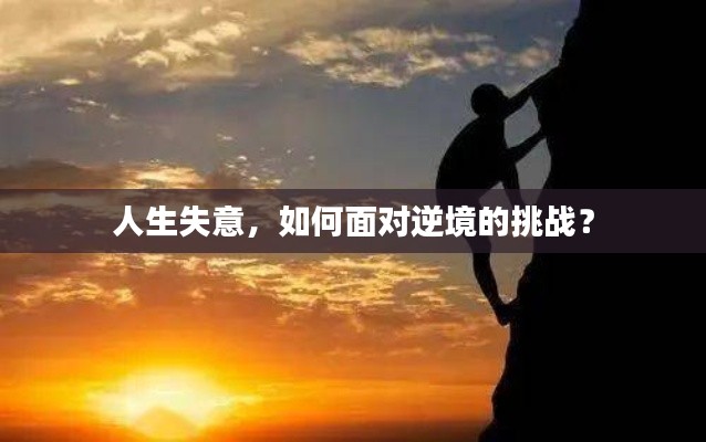 张灯挂彩