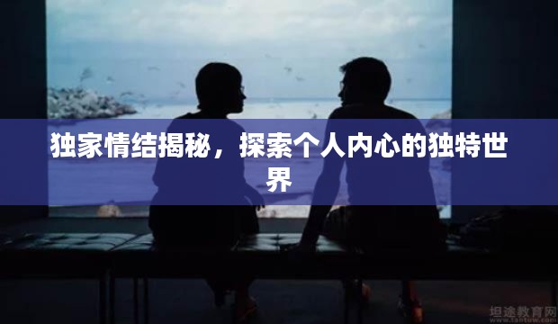 衣不兼彩