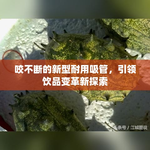慷慨就义
