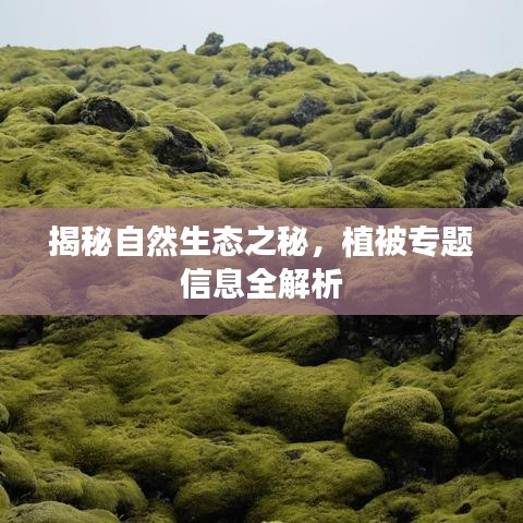 发奋图强