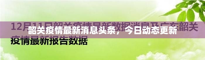资料打印 第3页